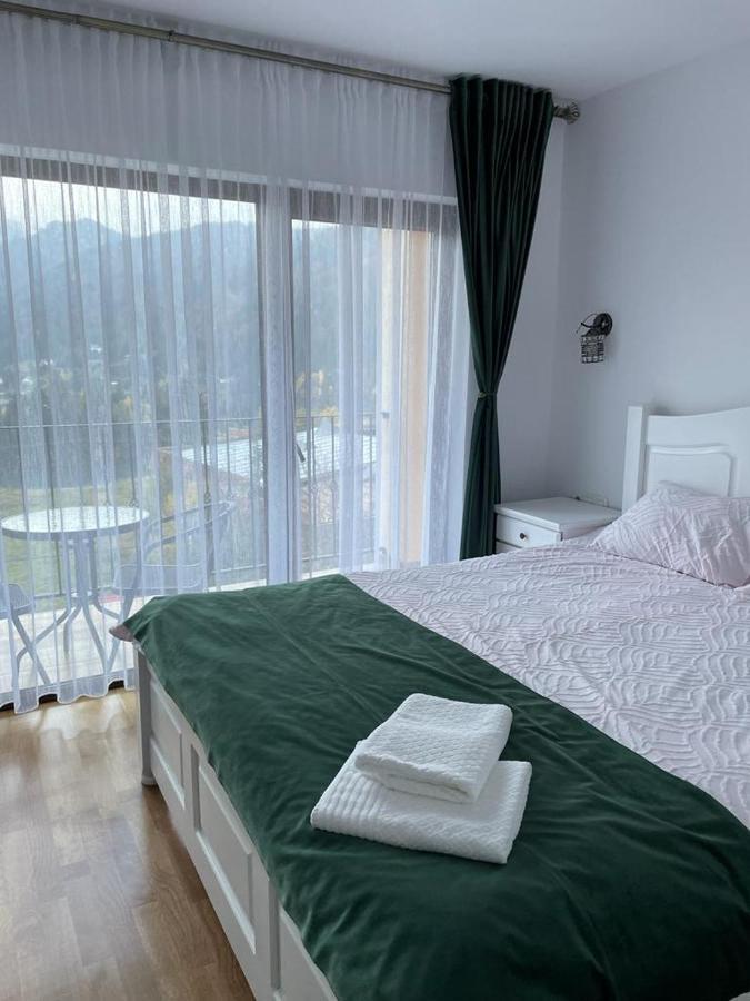Silver Mountain Villa Colibiţa Extérieur photo